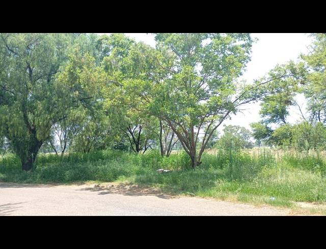LAND FOR SALE IN CARLETONVILLE